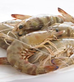 langostino san carlos
